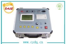 CY-2678 水內(nèi)冷發(fā)電機(jī)絕緣電阻測(cè)試儀