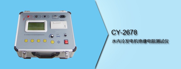 CY-2678 水內(nèi)冷發(fā)電機(jī)絕緣電阻測(cè)試儀