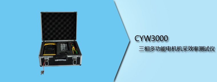 CYW3000 三相多功能電機(jī)機(jī)采效率測(cè)試儀