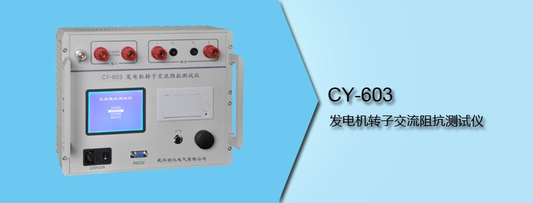 CY-603 發(fā)電機(jī)轉(zhuǎn)子交流阻抗測(cè)試儀