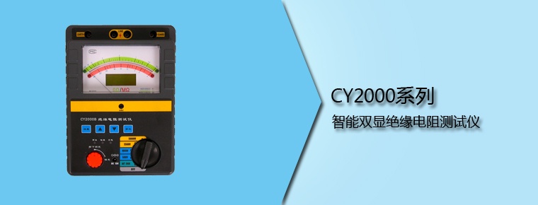 CY2000系列 智能雙顯絕緣電阻測(cè)試儀